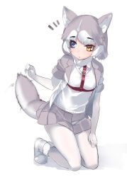 Rule 34 | 1girl, animal ear fluff, animal ears, blue eyes, boots, commentary request, dog (mixed breed) (kemono friends), dog ears, dog tail, elbow gloves, full body, fur trim, gloves, grey hair, harness, heterochromia, jacket, kemono friends, kneeling, multicolored hair, orange eyes, pantyhose, pleated skirt, scarf, short hair, short sleeves, skirt, solo, sweater, tadano magu, tail, tail wagging, white hair