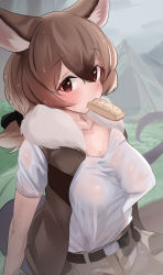 Rule 34 | 1boy, animal ears, belt, blouse, blush, breasts, brown eyes, brown hair, buchibussei, collarbone, covered erect nipples, day, dripping, fog, food, food in mouth, fur trim, gambian rat (kemono friends), hair between eyes, highres, kemono friends, long hair, looking at viewer, medium breasts, mountain, mouse ears, mouse girl, mouse tail, mouth hold, multicolored hair, no bra, open clothes, open vest, outdoors, pants, parted bangs, ponytail, see-through, see-through sleeves, shirt, short sleeves, sitting, solo, tail, vest, wet, wet clothes, wet face, wet hair, wet shirt, white shirt