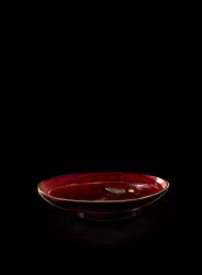 Rule 34 | black background, blood, bowl, brown butterfly, bug, butterfly, commentary request, dead animal, highres, insect, m k kanoe, no humans, original, still life