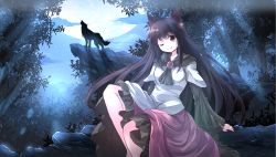 Rule 34 | 1girl, animal ears, blush, cloud, dress, forest, highres, imaizumi kagerou, jewelry, long hair, long sleeves, moon, moonlight, nature, one eye closed, red eyes, risutaru, sitting, sky, smile, solo, star (sky), starry sky, tail, touhou, wink, wolf, wolf ears, wolf tail, yellow eyes