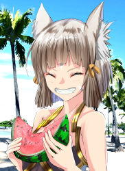 Rule 34 | adapted costume, animal ears, beach, blunt bangs, cat ears, closed eyes, facial mark, flat chest, food, fruit, hair ornament, highres, nia (blade) (xenoblade), nia (xenoblade), shindayomon, short hair, silver hair, smile, solo, spoilers, swimsuit, watermelon, xenoblade chronicles (series), xenoblade chronicles 2