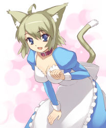 Rule 34 | animal ears, apron, bad id, bad pixiv id, breasts, cat ears, cat tail, cleavage, collar, maid, maid apron, original, oryo (oryo04), pink background, solo, tail