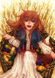 Rule 34 | 1girl, :d, animal ears, apple, basket, brown hair, fangs, food, fruit, grapes, highres, hiro150106, holo, layered sleeves, long hair, long skirt, long sleeves, looking at viewer, mango, open mouth, pear, pineapple, pumpkin, red eyes, short over long sleeves, short sleeves, skirt, smile, solo, spice and wolf, tail, teeth, tongue, wheat, white skirt, wolf ears
