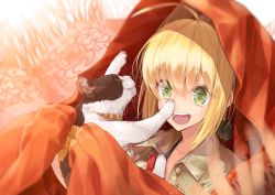 Rule 34 | 10s, 1girl, :d, animal, bad id, bad pixiv id, blonde hair, blurry, blurry background, brown shirt, cat, cloak, collarbone, collared shirt, commentary request, depth of field, fate/extra, fate (series), green eyes, hair between eyes, hair intakes, holding, holding animal, holding cat, looking away, nero claudius (fate), nero claudius (fate) (all), nero claudius (fate/extra), nero claudius (traveling outfit) (fate), official alternate costume, open mouth, orange cloak, round teeth, shirt, sidelocks, smile, solo, teeth, upper teeth only, utayoi (umakatare)