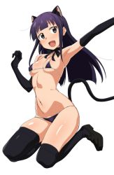 Rule 34 | 1girl, :d, animal ears, armpits, bad id, bad twitter id, bare shoulders, bikini, black eyes, black gloves, black thighhighs, blunt bangs, breasts, cat ears, cat tail, choker, covered erect nipples, elbow gloves, gloves, loafers, loliconder, long hair, micro bikini, navel, open mouth, outstretched arm, purple bikini, purple hair, ribbon choker, shoes, simple background, small breasts, smile, solo, swimsuit, tail, thighhighs, white background, working!!, yamada aoi
