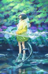 Rule 34 | 1girl, blue hair, day, fish, flower, full body, hiko (scape), hydrangea, looking up, mutant, original, partially underwater shot, plant, raincoat, river, see-through, shoes, sneakers, solo, stone, tail