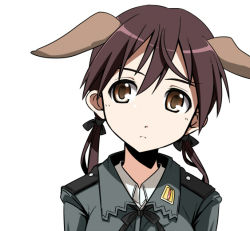 Rule 34 | 00s, 1girl, animal ears, brown eyes, brown hair, gertrud barkhorn, military, military uniform, ribbon, solo, source request, strike witches, twintails, uniform, world witches series