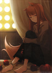 Rule 34 | 00s, 1girl, absurdres, animal ears, anklet, apple, ayakura juu, barefoot, brown hair, capri pants, feet, food, fruit, highres, holo, jewelry, hugging own legs, pants, red eyes, solo, spice and wolf, tail, wolf ears, wolf tail