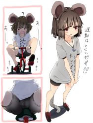 Rule 34 | 1girl, ahoge, animal ears, black shorts, blush, brown hair, cameltoe, clothes writing, fang, full body, highres, jewelry, lower body, mouse ears, mouse tail, nazrin, necklace, red eyes, shirt, shorts, sitting, standing, tagme, tail, torso (hjk098), touhou, translation request, v-shaped eyebrows, white shirt, wide-eyed