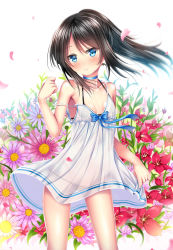 Rule 34 | 1girl, asashio (kancolle), bikini, bikini under clothes, black bikini, black hair, blue eyes, blurry, choker, depth of field, flat chest, floral background, kantai collection, long hair, looking at viewer, petals, ponytail, puririn, see-through, solo, strap slip, swimsuit, swimsuit under clothes, white background