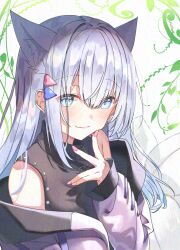 Rule 34 | 1girl, animal ear fluff, animal ears, bare shoulders, black shirt, blue eyes, blush, closed mouth, finger to cheek, grey hair, heart, heart necklace, highres, hiiragi kifuyu, jacket, jewelry, long hair, long sleeves, looking at viewer, necklace, noripro, off shoulder, open clothes, open jacket, pink jacket, pink nails, shirayuki mishiro, shirt, smile, solo, upper body, virtual youtuber