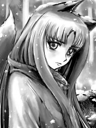 Rule 34 | 1girl, animal ears, female focus, gradient background, greyscale, head tilt, holo, long hair, looking at viewer, lsxilo, monochrome, scarf, snow, solo, spice and wolf, tail, wolf ears, wolf tail