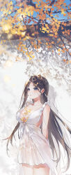 Rule 34 | 1girl, absurdres, arms behind back, bare shoulders, blush, breasts, center opening, cleavage, collarbone, dated, dress, ginkgo leaf, ginkgo tree, highres, large breasts, leaf, long hair, original, signature, sleeveless, solo, standing, swkl:d, white dress