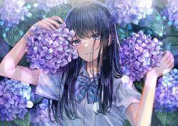 Rule 34 | 1girl, facing viewer, flower, highres, long hair, looking at viewer, original, purple eyes, sakura (39ra), school uniform, short sleeves, solo