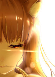 Rule 34 | 1girl, absurdres, animal ears, brown hair, c (pixiv3064042), close-up, eyelashes, highres, holo, lens flare, lips, long hair, looking to the side, mouth hold, pink lips, red eyes, simple background, solo, spice and wolf, wheat, white background, wolf ears
