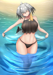 Rule 34 | 1girl, bare arms, bare legs, bare shoulders, beach, bikini, bird tail, black bikini, black hair, breasts, closed mouth, curvy, day, grey hair, hair between eyes, hair intakes, head tilt, highres, jewelry, john (a2556349), kemono friends, large breasts, long hair, looking at viewer, multicolored hair, navel, orange hair, outdoors, partially submerged, pendant, sand, shell, shoebill (kemono friends), sidelocks, solo, standing, stomach, swimsuit, tail, tankini, water, wide hips, yellow eyes