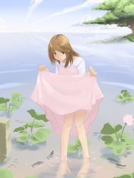 Rule 34 | 1girl, barefoot, blue sky, blush, brown eyes, brown hair, clothes lift, cloud, cloudy sky, day, dress, dress lift, feet, female focus, fish, flower, heya no sumi, holding, long hair, looking at viewer, nature, pigeon-toed, pond, sky, solo, standing, toes, tree, water, wet