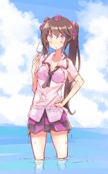 Rule 34 | 1girl, black necktie, blue sky, blush, bra, brown hair, checkered clothes, checkered skirt, cloud, collared shirt, dripping, food, hair between eyes, hair ribbon, hand on own hip, hat, highres, himekaidou hatate, holding, holding food, in water, long hair, long twintails, looking at viewer, necktie, neckwear request, non (z-art), open mouth, outdoors, pink shirt, popsicle, purple bra, purple eyes, purple hat, purple skirt, ribbon, see-through, shirt, short sleeves, skirt, sky, solo, tokin hat, touhou, twintails, underwear, very long hair, water, water drop, wet, wet clothes