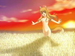 Rule 34 | 00s, animal ears, bad id, bad pixiv id, brown hair, field, holo, long hair, nude, outstretched arms, red eyes, s-no, solo, spice and wolf, spread arms, sunset, tail, wheat, wolf ears, wolf tail