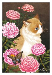 Rule 34 | animal, animal focus, blue eyes, brown background, bug, butterfly, cat, closed mouth, commentary request, flower, flower request, insect, leaf, no humans, original, plant, signature, sitting, takigraphic, whiskers