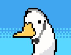 Rule 34 | animal focus, animated, animated gif, bird, black eyes, blank eyes, blinking, blue background, duck, earpiece, headphones, looping animation, lowres, no humans, nodding, notice lines, open mouth, original, pixel art, portrait, simple background, surprised, wisgarus