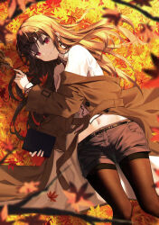 Rule 34 | 1girl, absurdres, animal, autumn leaves, belt, black-framed eyewear, black belt, black hair, black pantyhose, blurry, blurry foreground, book, brown coat, closed mouth, coat, collar, collared shirt, commentary request, denim, denim shorts, eyewear on head, falling leaves, floating hair, glasses, highres, holding, holding book, hyonee, leaf, long hair, looking at viewer, lying, navel, on side, open clothes, open coat, original, pantyhose, red eyes, shirt, shorts, smile, squirrel, thighband pantyhose, white collar, white shirt