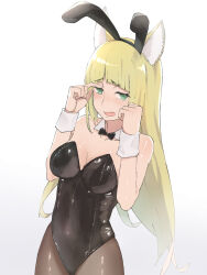 Rule 34 | 1girl, alternate costume, animal ear fluff, animal ears, bare shoulders, black bow, black bowtie, black leotard, blonde hair, blunt bangs, blush, bow, bowtie, breasts, cleavage, collar, collarbone, commentary request, covered navel, cowboy shot, detached collar, dungeon ni deai wo motomeru no wa machigatteiru darou ka, fake animal ears, fox ears, green eyes, highres, leotard, long hair, looking at viewer, medium breasts, niceumeboshi, nose blush, open mouth, pantyhose, playboy bunny, rabbit ears, sanjouno haruhime, simple background, solo, standing, strapless, strapless leotard, very long hair, white background, white collar, white wrist cuffs, wrist cuffs