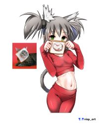 Rule 34 | 1girl, :p, absurdres, animal ears, artist logo, artist name, belly, bread, bread slice, cat, cat ears, cat girl, cat tail, commentary request, crop top, cropped legs, fang, food, green eyes, grey hair, highres, holding, holding food, looking at viewer, medium hair, navel, nisp art, original, pants, personification, red pants, red shirt, reference inset, russian commentary, shirt, short twintails, simple background, sleeves past wrists, smile, solo, tail, tongue, tongue out, twintails, white background