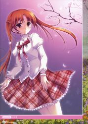 Rule 34 | 1girl, absurdres, cherry blossoms, hanafubuki, highres, kachou fuugetsu, ninoko, orange hair, red eyes, sakuramori anzu, school uniform, twintails