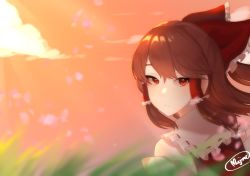 Rule 34 | 1girl, :/, bare shoulders, blurry, blurry background, blurry foreground, bow, brown hair, closed mouth, cloud, commentary request, detached sleeves, expressionless, eyebrows hidden by hair, frilled bow, frilled hair tubes, frilled shirt collar, frills, hair between eyes, hair tubes, hakurei reimu, highres, long hair, looking at viewer, looking back, majime joe, outdoors, petals, red bow, red eyes, red vest, sidelocks, solo, touhou, twilight, vest