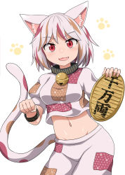 Rule 34 | 1girl, animal ears, bell, blush, breasts, cat ears, cat tail, chups, coin, cowboy shot, crop top, fang, gold, goutokuji mike, highres, jingle bell, koban (gold), medium breasts, multicolored hair, navel, open mouth, patch, red eyes, short hair, short sleeves, shorts, simple background, smile, solo, streaked hair, tail, touhou, white background, white hair, white shorts