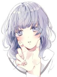 Rule 34 | 1girl, blush, cheek squash, grey eyes, grey hair, hand on another&#039;s face, highres, long hair, looking at viewer, norn9, out of frame, parted lips, portrait, pov, pov hands, prin dog, purple eyes, purple hair, sailor collar, school uniform, serafuku, shiranui nanami, simple background, solo focus, white background, white sailor collar