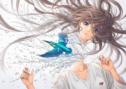 Rule 34 | 1girl, blue eyes, brown hair, common kingfisher, disembodied head, floating hair, grey background, hands up, heart, highres, kingfisher, long hair, long sleeves, looking at viewer, minami (minami373916), original, parted lips, shirt, solo, splashing, surreal, upper body, v-neck, water, white shirt