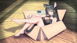 Rule 34 | 1girl, absurdres, ahoge, animal ears, bare shoulders, barefoot, black hair, blunt bangs, box, braid, breasts, cardboard box, cat ears, cat tail, chinese commentary, cleavage cutout, clothing cutout, dress, extra ears, feet, full body, green eyes, highres, in box, in container, large breasts, legs up, long hair, nekomata, open mouth, original, shadow, sitting, solo, strapless, strapless dress, tail, toes, wooden floor, wooden wall, xiaoxi0619