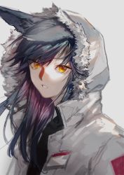 Rule 34 | 1girl, animal ears, arknights, black shirt, blue hair, colored inner hair, commentary, fur-trimmed hood, fur trim, grey background, highres, hood, hood up, id card, jacket, long hair, looking at viewer, multicolored hair, official alternate costume, open clothes, open jacket, orange eyes, parted lips, pekopeco, pink hair, shirt, simple background, solo, texas (arknights), texas (winter messenger) (arknights), turtleneck, upper body, white jacket, wolf ears, wolf girl