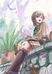 Rule 34 | 1girl, backlighting, bird, blue eyes, blurry, book, boots, bow, brown hair, commentary, dated, depth of field, earrings, fantasy, flower, garden, happy, highres, jewelry, knee boots, looking to the side, open mouth, original, petals, plant, potted plant, school uniform, serafuku, shiki makoto, short hair, signature, sitting, skirt, smile, squirrel, sunlight, tree