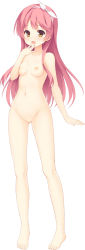 Rule 34 | 1girl, absurdres, barefoot, breasts, completely nude, feet, full body, hairband, hand to own mouth, highres, kurama koharu, long hair, looking at viewer, muririn, navel, nipples, no pussy, nude, official art, open mouth, pink hair, senren banka, simple background, small breasts, smile, solo, toes, white background, yellow eyes