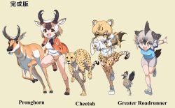 Rule 34 | &gt;:), 3girls, :d, animal, animal ear fluff, animal ears, bare arms, bare legs, bike shorts, bird, bird tail, bird wings, black hair, blonde hair, brown eyes, brown hair, buruma, character name, cheetah, cheetah (kemono friends), cheetah ears, cheetah print, cheetah tail, clenched hands, closed mouth, clothes writing, collared shirt, elbow gloves, english text, extra ears, floating hair, full body, gloves, greater roadrunner (kemono friends), green eyes, grey hair, hair between eyes, hair tubes, head wings, height difference, highres, horizontal pupils, horns, jacket, kemono friends, kemono friends 2, light brown hair, long hair, long sleeves, looking at another, medium hair, miniskirt, multicolored hair, multiple girls, name connection, necktie, open clothes, open jacket, open mouth, outstretched arms, outstretched hand, print gloves, print legwear, print neckwear, print skirt, pronghorn (kemono friends), roadrunner (animal), running, shirt, short sleeves, sidelocks, simple background, size difference, skirt, smile, socks, sportswear, t-shirt, tail, thighhighs, track jacket, v-shaped eyebrows, white hair, wings, yamaguchi yoshimi, yellow eyes, zettai ryouiki