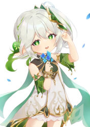 Rule 34 | 1girl, :d, absurdres, bare shoulders, bloomers, bracelet, cape, commentary, cowboy shot, detached sleeves, dress, eyelashes, flower, flower request, genshin impact, gold trim, gradient hair, green cape, green eyes, green hair, green sleeves, hair ornament, hands up, highres, holding, holding flower, iroha (mimi0618xx), jewelry, leaf hair ornament, light blush, long hair, looking at viewer, multicolored hair, nahida (genshin impact), open mouth, pointy ears, simple background, sleeveless, sleeveless dress, smile, solo, star-shaped pupils, star (symbol), symbol-shaped pupils, teeth, underwear, upper teeth only, white background, white bloomers, white dress, white hair