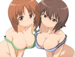 Rule 34 | 10s, 2girls, bottomless, bra, breasts, brown eyes, brown hair, cleavage, girls und panzer, henyaan (oreizm), large breasts, looking at viewer, multiple girls, nishizumi maho, nishizumi miho, off shoulder, short hair, siblings, sisters, symmetrical pose, underwear