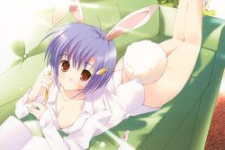 Rule 34 | 1girl, absurdres, animal ears, blue hair, blush, breasts, cleavage, dress shirt, highres, large breasts, lying, mikeou, on stomach, rabbit ears, rabbit tail, red eyes, shirt, short hair, smile, solo, tail