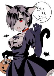 Rule 34 | 1girl, animal ears, bat (animal), belt collar, black hair, bow, bowtie, cat ears, claw pose, collar, collarbone, dress, fang, frilled dress, frills, gloves, hair over one eye, halloween, kirishima touka, looking at viewer, open mouth, pixie cut, red eyes, senchii tg, short hair, solo, tail, tokyo ghoul