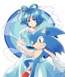Rule 34 | 1girl, animal, bad id, bad pixiv id, color connection, crossover, dress, furry, furry male, futoumeido, gloves, hair ornament, hairpin, head tilt, kaku seiga, md5 mismatch, pun, sega, shawl, short hair, simple background, smile, smirk, sonic (series), sonic the hedgehog, touhou