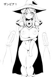 Rule 34 | blush, breasts, character request, hat, hokuto (tokuho), huge breasts, monochrome, nipples, penis, pussy, uncensored