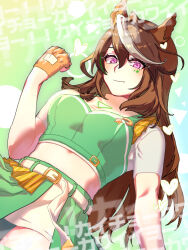 Rule 34 | 1girl, animal ears, belt, breasts, brown hair, clenched hand, closed mouth, commentary request, cropped shirt, dutch angle, ear ornament, facial tattoo, fingerless gloves, gloves, green background, green shirt, green skirt, heart, horse ears, horse girl, long hair, medium breasts, midriff, multicolored hair, navel, official alternate costume, omotil, shirt, short sleeves, skirt, smile, solo, streaked hair, symboli rudolf (umamusume), tattoo, translation request, umamusume, umayuru, white belt, white hair
