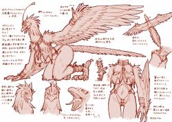 Rule 34 | ass, beak, bird, breasts, claws, collar, fangs, feathers, flying, furry, giant, giantess, kneeling, large breasts, looking at viewer, monochrome, monster, open mouth, original, ryou (kemosyoujyo), simple background, size difference, sketch, tongue, translation request, wings