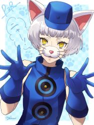 Rule 34 | 1girl, absurdres, animal ears, bare shoulders, blue dress, blue gloves, blue hat, blunt bangs, border, cat ears, cat nose, commentary request, dress, elizabeth (persona), gloves, grey hair, hands up, hat, high collar, highres, looking at viewer, mini hat, open hands, open mouth, outside border, persona, persona 3, persona 3 reload, short hair, sleeveless, sleeveless dress, solo, speech bubble, twitter username, upper body, white border, yellow eyes, yokaroni