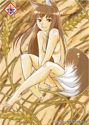 Rule 34 | 1girl, animal ears, artist name, barefoot, brown hair, brown theme, feet, full body, holo, long hair, nude, red eyes, solo, spice and wolf, tail, tsuyusawa michihiro, wheat, wolf ears, wolf tail