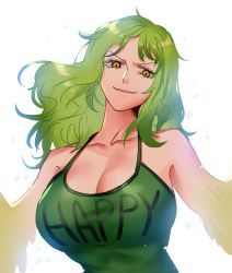 Rule 34 | 1girl, bare shoulders, breasts, cleavage, collarbone, green hair, green shirt, harpy, large breasts, medium hair, monet (one piece), monster girl, one piece, print shirt, raine (acke2445), shirt, sleeveless, sleeveless shirt, solo, upper body, winged arms, wings, yellow eyes