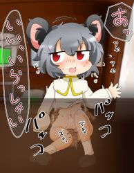 Rule 34 | 1girl, animal ears, blush, bottomless, censored, clothed sex, commentary, cookie (touhou), grey hair, hetero, highres, motion lines, mouse ears, navel, nazrin, nyon (cookie), penis, red eyes, see-through, sex, solo focus, stealth sex, sweat, touhou, translated, utamaru (arufa), vaginal